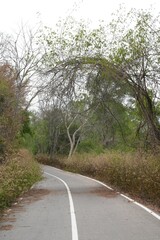 road for cycling in Kaeng Krachan National Park Phetchaburi Province, Thailand, taken on 3 May 2023.
