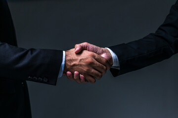 Business people shaking hands. Businessman shaking hands during a meeting in the office