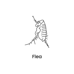 Flea outline icon. Dangerous insect with deadly venom. Vector illustration in trendy style. Editable graphic resources for many purposes.