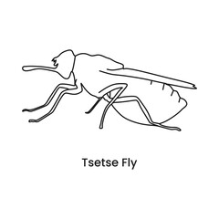 Tsetse fly outline icon. Dangerous insect with deadly venom. Vector illustration in trendy style. Editable graphic resources for many purposes.