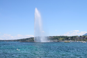 jet d'Eau fountain in Geneva lake - 602064880
