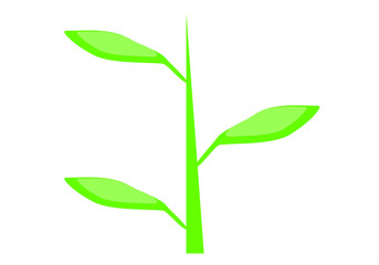 green bamboo plant. green branch with green leaves on a white background