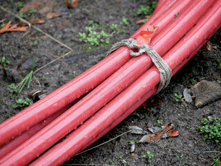 bundle of red garden hose