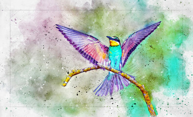 bee-eaters sitting on a branch, birds of paradise, rainbow colors, close-up ; Watercolor sketch work.