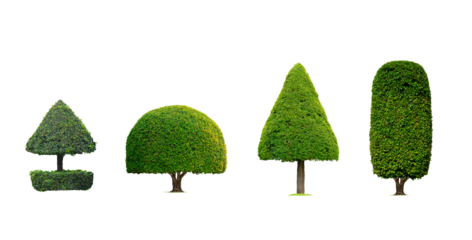 Group of Decorative Topiary Trees in various shaped isolated on transparent background, png file