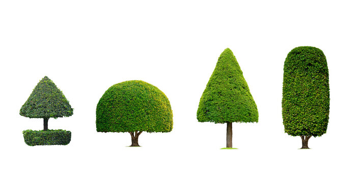 Group of Decorative Topiary Trees in various shaped isolated on transparent background, png file