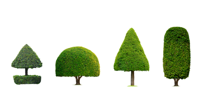 Group of Decorative Topiary Trees in various shaped isolated on transparent background, png file