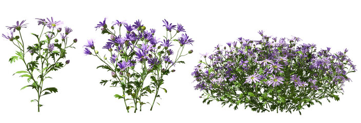 Violet flowers shrubs cutout backgrounds 3d rendering png