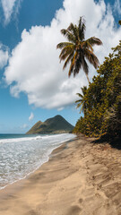 Caribbean Martinique Diamant beach with coconut palm and blue sky. Travel concept for beach...