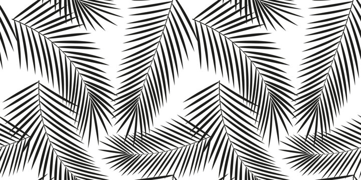 Background, seamless monochrome vector pattern - palm leaves isolated on a transparent background.