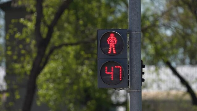 Permissive pedestrian traffic lights sign. red and Green light with countdown time turning to red stop light. Time to cross the road safely