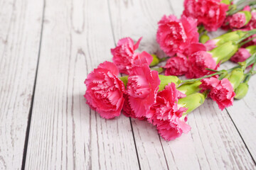 Red and pink carnations bouquet. Mother's Day background. Love mummy.