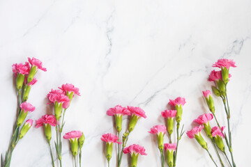 Red and pink carnations bouquet on white background. Mother's Day background. Love mom. Copy space.