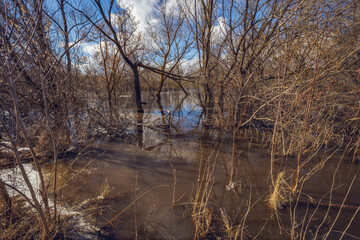 the long-awaited spring in the countryside