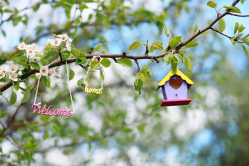 Naklejka premium welcome home to bird houses hanging on a flowering branch in spring friendly garden