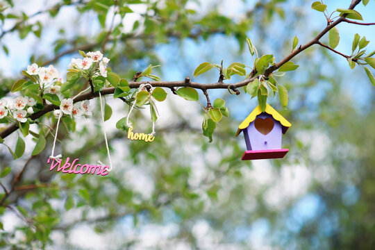 welcome home to bird houses hanging on a flowering branch in spring friendly garden