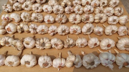 food background of sun-dried garlic design for healthy lifestyle