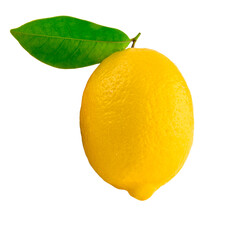 Lemon With Leaf