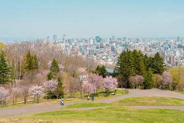 Panoramic view of Sapporo city and Asahiyama Memorial Park at spring in Sapporo, Hokkaido, Japan - obrazy, fototapety, plakaty