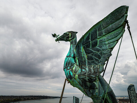Aerial view of the liver bird on top of the Liver building in Liverpool, England
