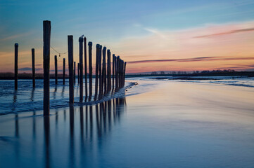 Wooden posts in the river Ems at sunset, Petkum, East Frisia, Lower Saxony, Germany