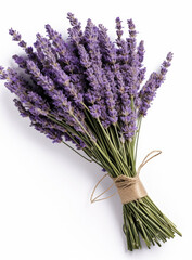Bouquet of lavender on a white background