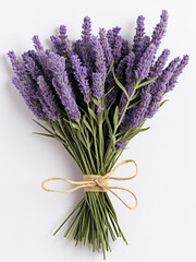 Bouquet of lavender on a white background