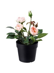 Decor Potted artificial flower Pink rose Green leaves beautiful Living room Bathroom Balcony Modern design Interior element Isolated on white background