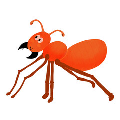 Ant