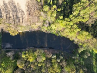 staw przy polu i lesie  12 © Artur