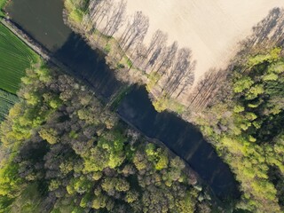 staw przy polu i lesie  19 © Artur