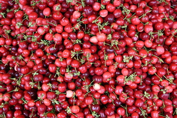 background of a bunch of fresh cherries from ecological agriculture in a box