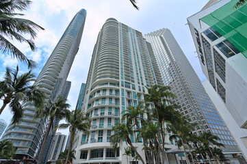 Fototapeta na wymiar Tall towers and palm trees (Miami, florida, USA)