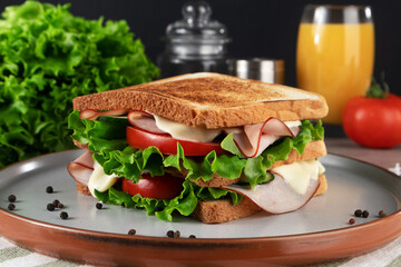 Delicious ham sandwich with fresh salad and tomatoes served on plate. 