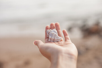 Fototapeta na wymiar Hand holding a seashell at the beach closeup view