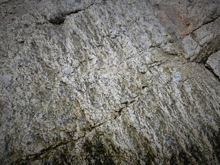 The brown rock texture 