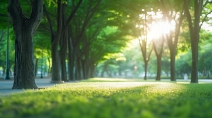 Obraz premium A green grass field with trees in the background