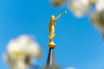 provo temple in the spring 