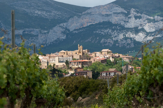 Laguardia, Rioja Alavesa