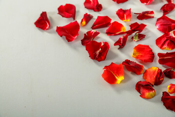 Red rose petals are scattered on a light table. save a place.