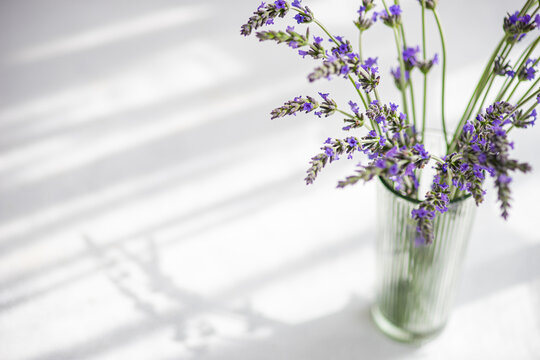 Close-up of a glass vase filled with lavender flowers