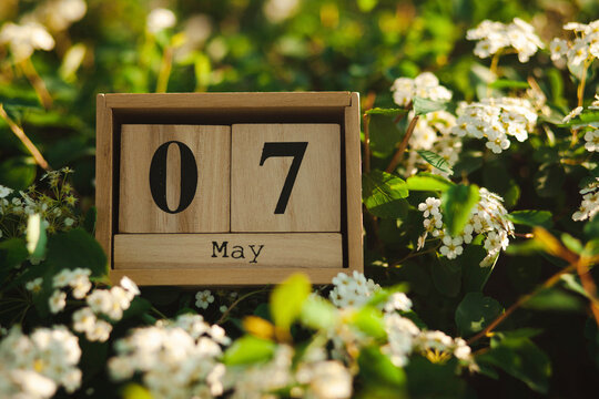 Wooden blocks with the 7 May calendar date amongst flowers