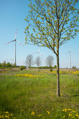 Fototapeta premium Windkraftanlage Windräder Natur Landschaft