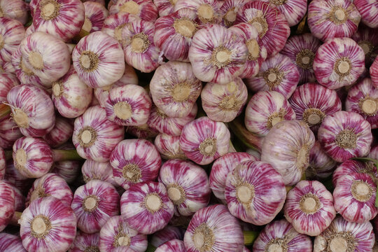 Stack of garlic on a display at a farmers market in France.