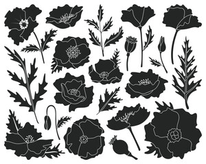 Poppy flower vector black icon set . Collection vector illustration poppy on white background. Isolated black illustration icon set of flower for web design.