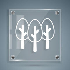 White Tree icon isolated on grey background. Forest symbol. Square glass panels. Vector