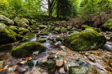 Naklejka na ściany i meble Beautiful small waterfall full of small and big rocks and stones with green trees around next to mountain trail in Giant mountains