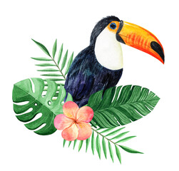 Watercolor toucan and tropical floral isolated on white . Hand drawn exotic bird and plumeria illustration