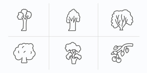 nature outline icons set. thin line icons such as pin cherry tree, american chestnut tree, american hornbeam tree, hawthorn black locust black cherry vector.