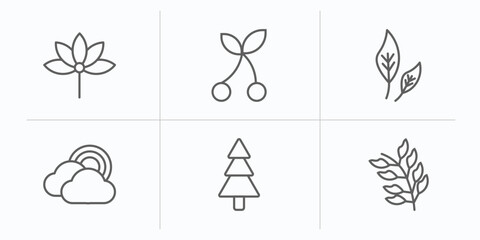 nature outline icons set. thin line icons such as palmatelly, cherry leaf, ovate, rainbow behind a cloud, spruce, rowan leaf vector.
